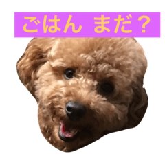 [LINEスタンプ] モコの会話