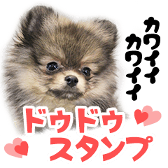 [LINEスタンプ] 可愛い可愛いドゥドゥスタンプ