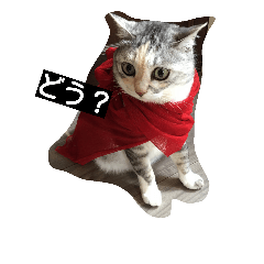 [LINEスタンプ] ティムとメイ