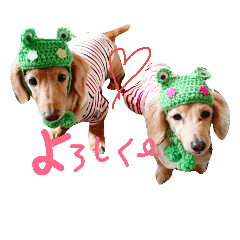 [LINEスタンプ] 大好きこたうめ