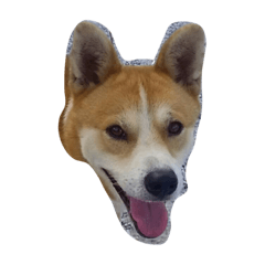 [LINEスタンプ] ソラ君の日常