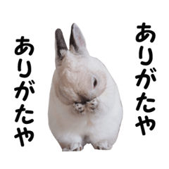 [LINEスタンプ] とろ日和 その②