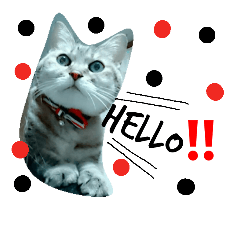 [LINEスタンプ] ミミとココ
