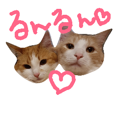 [LINEスタンプ] レオ家の日常