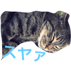 [LINEスタンプ] うちのごえもん
