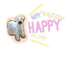 [LINEスタンプ] ももも わんこず