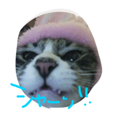 [LINEスタンプ] みいたろう