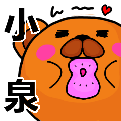 [LINEスタンプ] 小泉より愛を込めて（名前スタンプ）