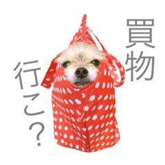 [LINEスタンプ] 可愛いミックス犬