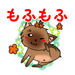 [LINEスタンプ] ヨークシャーテリア ヨーキー