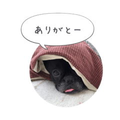 [LINEスタンプ] くうぽこ