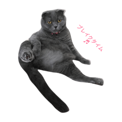[LINEスタンプ] ここめいらんど
