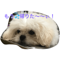 [LINEスタンプ] モココ