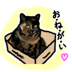 [LINEスタンプ] サビ猫のミーコ