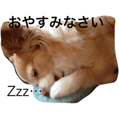[LINEスタンプ] くぅぅちゃん