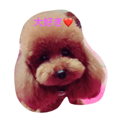 [LINEスタンプ] キュートな我が子