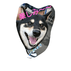 [LINEスタンプ] ojaru and kiske