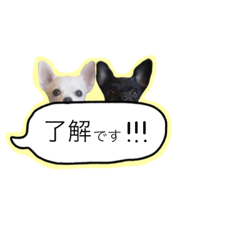 [LINEスタンプ] メイとトト