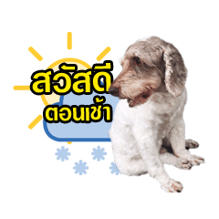 [LINEスタンプ] Hu To ＆ Moodang