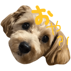 [LINEスタンプ] 奥田家