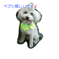 [LINEスタンプ] トイプードルペプシのひとこと