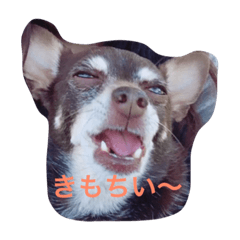 [LINEスタンプ] エイトの日々