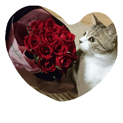 [LINEスタンプ] セシルの1日