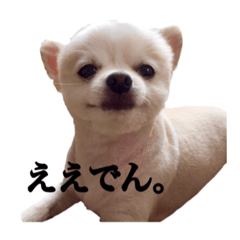 [LINEスタンプ] ぽぽ