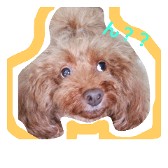 [LINEスタンプ] わんこそのいち