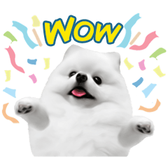 [LINEスタンプ] Power Pomeranian (ENG)