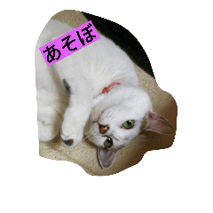 [LINEスタンプ] ミクさん