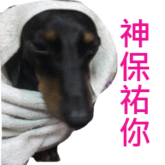 [LINEスタンプ] Happy Dog's Life