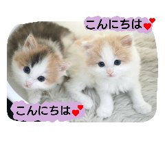 [LINEスタンプ] Holmes Family