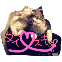 [LINEスタンプ] メロとアナン2