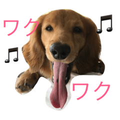[LINEスタンプ] ロブ＆チップ