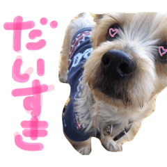 [LINEスタンプ] ひまないぬ