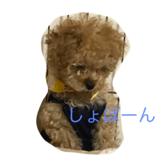 [LINEスタンプ] ティガⅡ