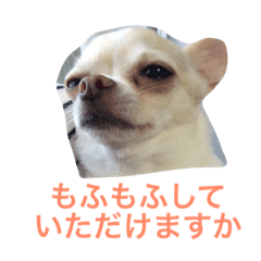 [LINEスタンプ] リンダのいぬども