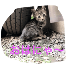 [LINEスタンプ] いろいろな